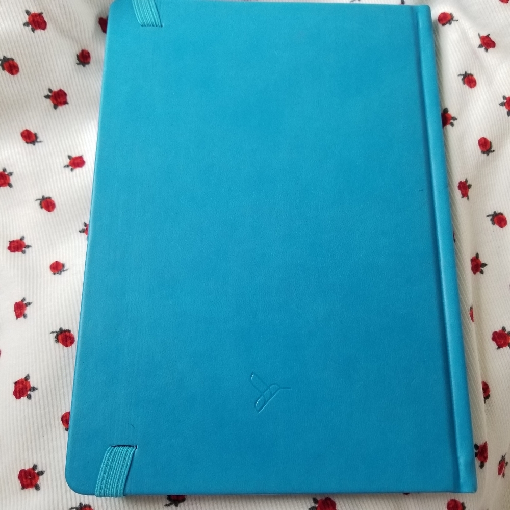 Turquoise Journal - Picture 2 of 11